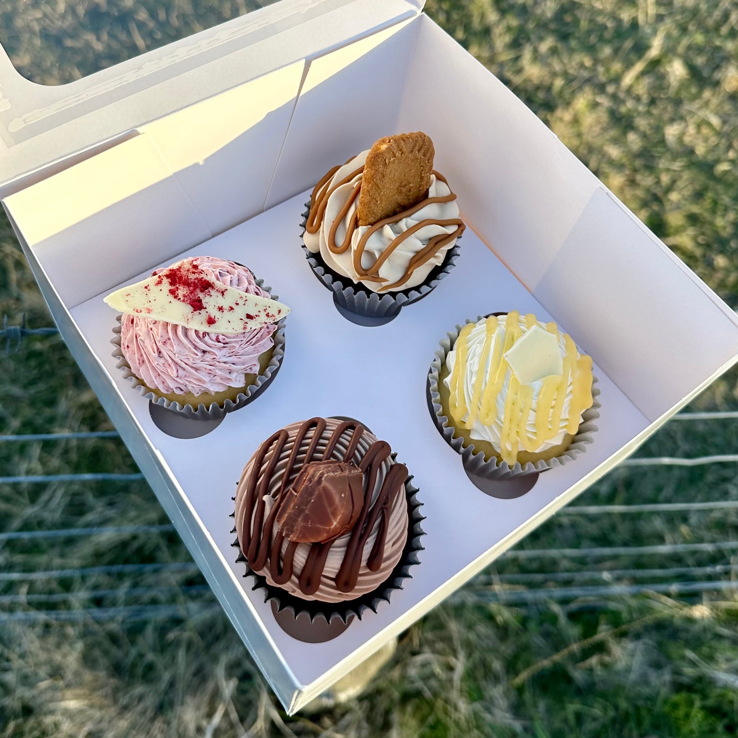 Father's Day Cupcake (4 pack)