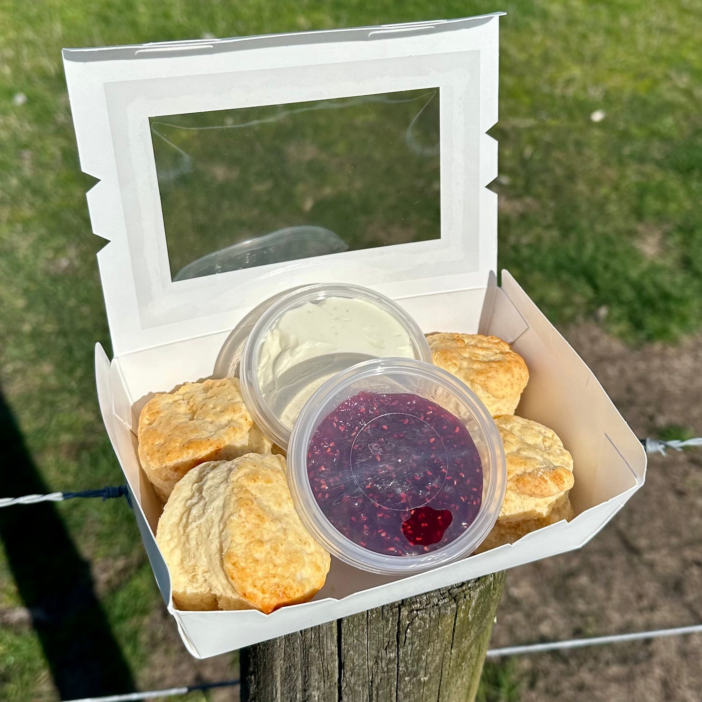 Buttermilk Scones (4 pack)